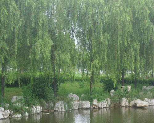 柘園景觀案例展示94