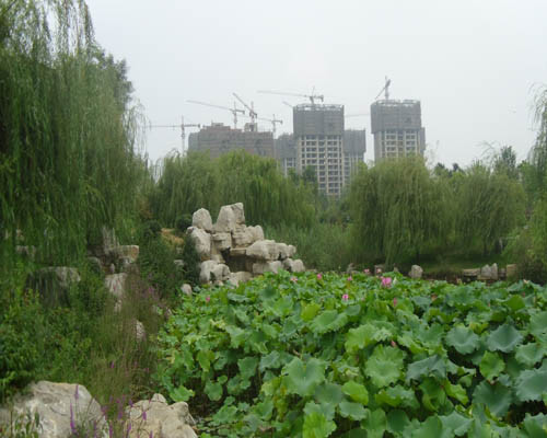 柘園景觀案例展示121