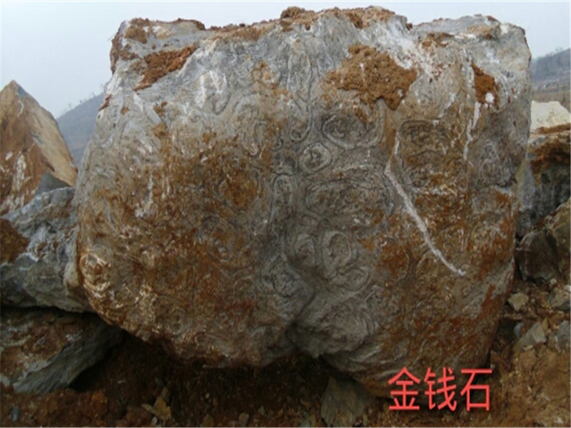 金錢石