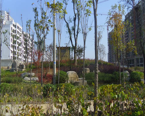 柘園景觀案例展示115