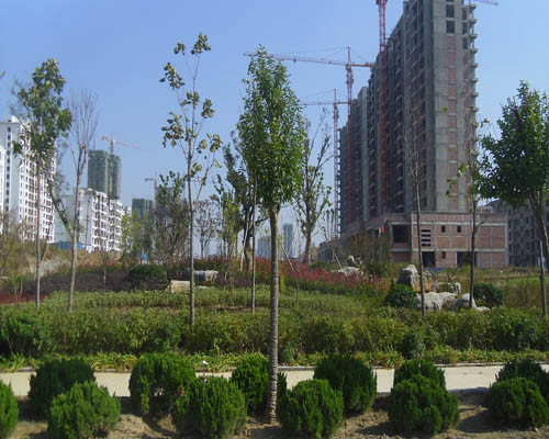 柘園景觀案例展示114