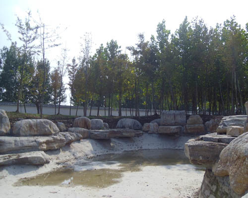 柘園景觀案例展示10