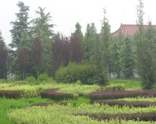 柘園景觀案例展示108