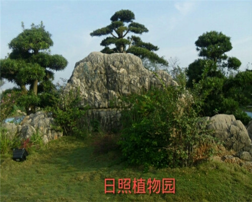 柘園景觀案例展示147